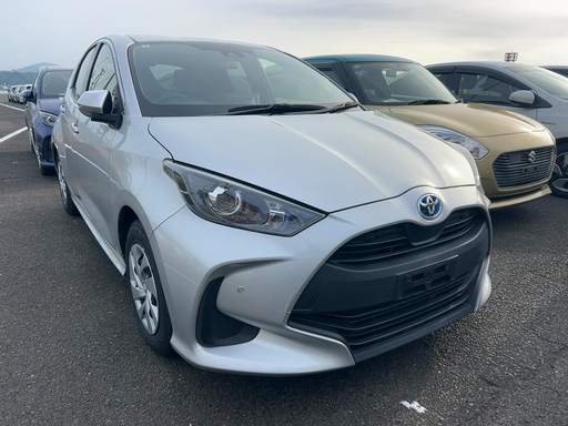 2021 Hybrid X
