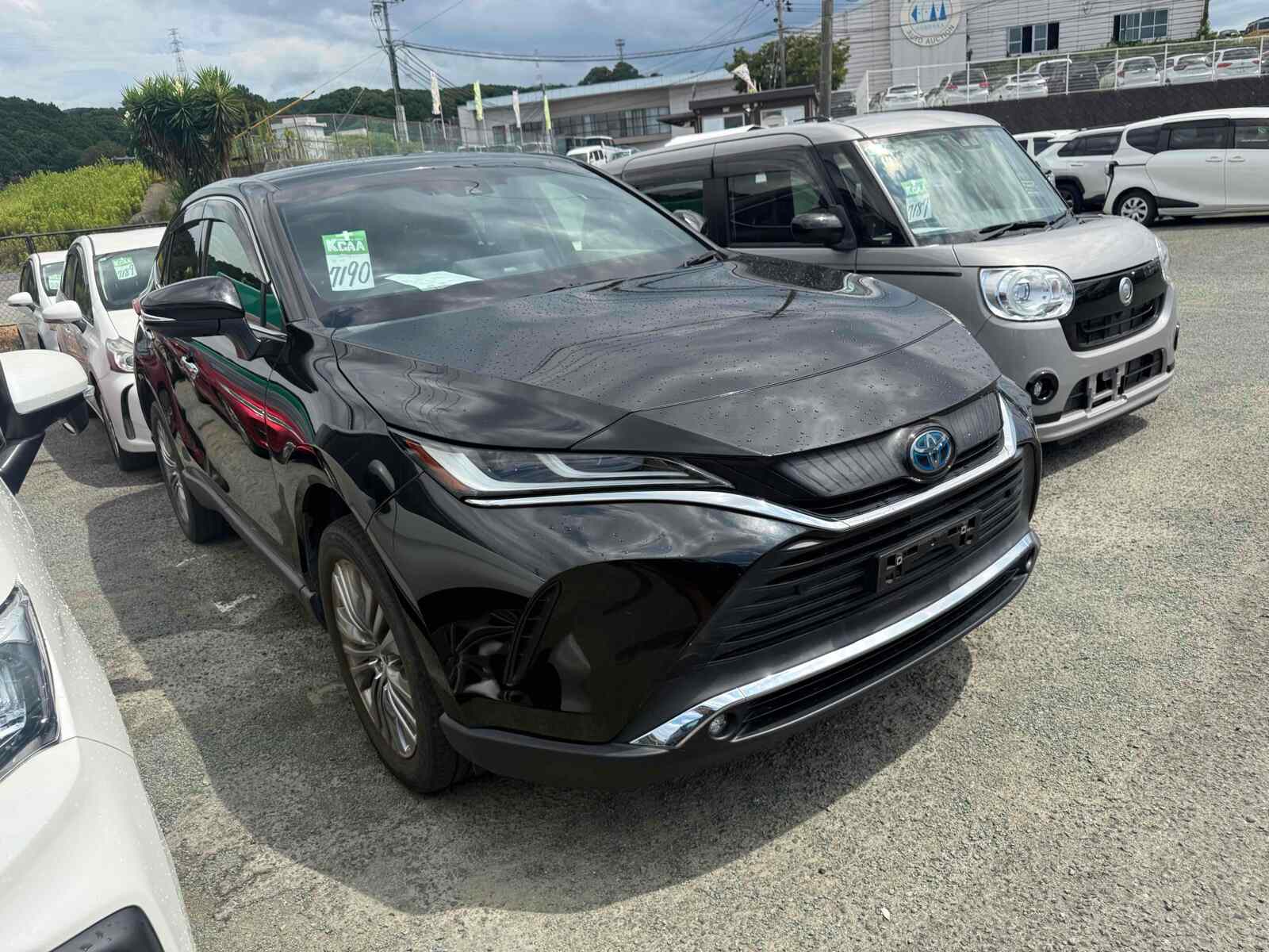 2021 Z Hybrid